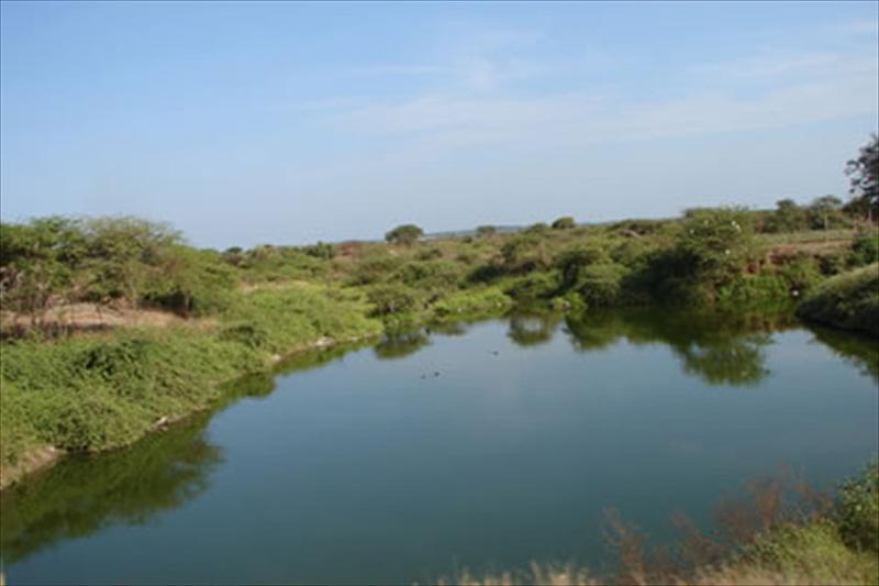 Opiniones de rio zarumilla