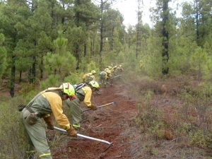 INCENDIOS PREVENCION