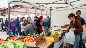 ANDALUCIA PRODUCTORES 2