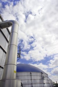 HUEVOS COLOMBIA WELTEC BIOPOWER 1