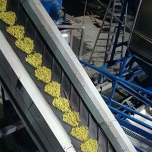 JAEN DEFICIT HIDRICO PRODUCCION ACEITE DE OLIVA 2