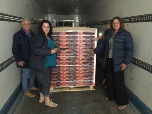 PARAGUAYAS Y NECTARINAS 1