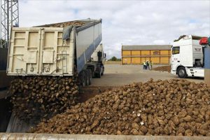 REMOLACHEROS SENTENCIA LA ALIANZA 2