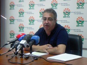 GANADO OVINOUPA UCE CAIDA EXTREMADURA 2