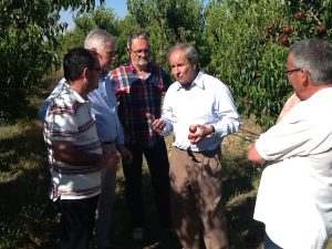 PRESIDENTES AGRICULTURA CONGRESO SENADO PP 2