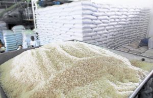 ARROZ ASAJA SEVILLA 1