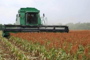 CAIDA EN LA CONTRATACION DE SEGUROS AGRARIOS 3