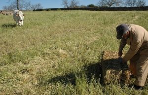 COMISION EUROPEA AGENDA DE TRABAJO 2