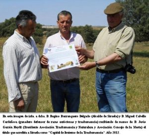 FIESTA DE LA TRANSTEMINANCIA LA SIRUELA 3