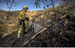 INCENDIOS FORESTALES 1