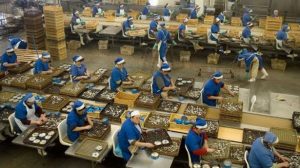 INDUSTRIA ALIMENTARIA FIAB EMPLEO 3