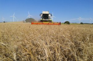 SIEMBRA DE CEREALES 3