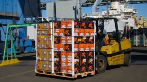 COMITE DE GESTION DE CRITICOS 2