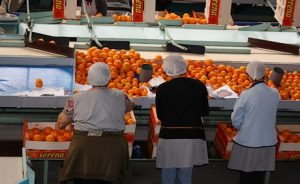 COMITE DE GESTION DE CRITICOS 3