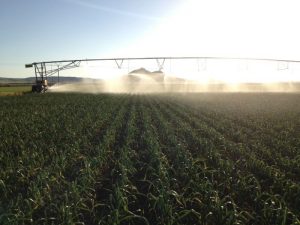 COOPERATIVAS TEJERINA 2