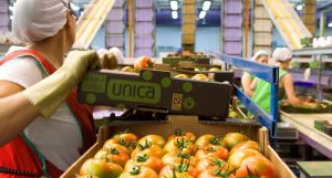 COOPERATIVAS TEJERINA 3