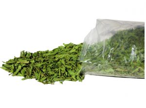 ESTEVIA CONGRESO APOYOS 1