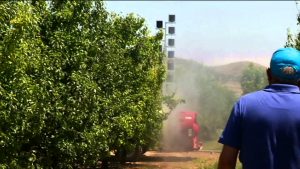 FITOSANITARIOS REGLAMENTO EUROPEO 3