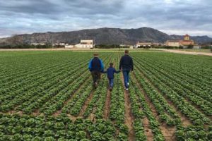 IMPUESTOS DE SUCESIONES 3