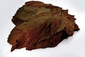 INTERPROFESIONAL DEL TABACO