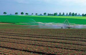 PAC ARAGON CERTIFICADO CALIDAD 2