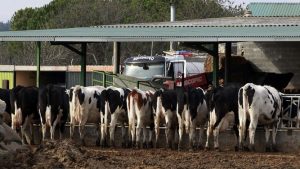 PAC PAGOS CCAA LOTERIA 3